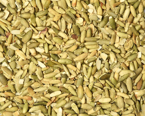 Pumpkin Seed Background