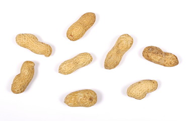 Set of peanuts isolated on white background