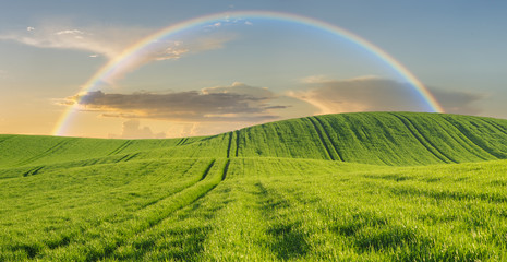 Naklejka premium Rainbow over a spring green field