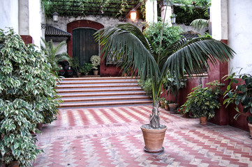 Patio tipico de andalucia © josemad