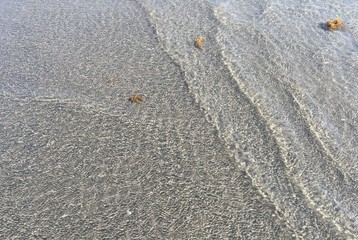 gentle ripples in clear ocean in Boca Raton, Florida