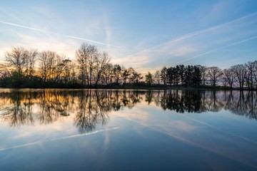 Evening landscape with several trees on side of pond