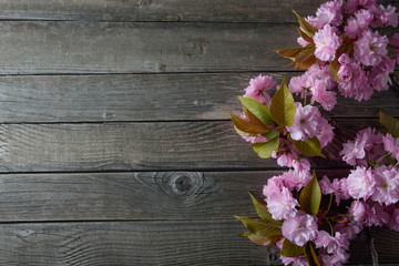 Gray wooden background with pink flowers