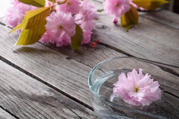 Fototapeta na wymiar Gray wooden background with pink flowers