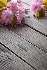 Gray wooden background with pink flowers