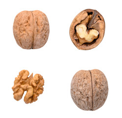 Isolated walnuts. Collection of a whole walnut, split in half walnut and walnut kernel isolated on white background with clipping path