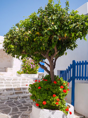 Fototapeta na wymiar Traditional street in a Greek island