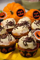 Halloween pumkin muffins with chocolate spider