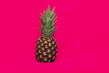 Pineapple on a bright pink background. copy space.