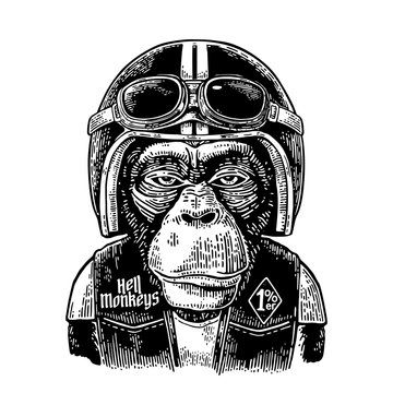 Monkey in the motorcycle helmet and glasses. Vintage black engraving