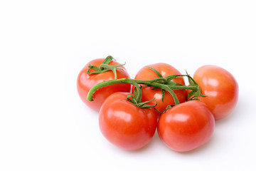 tomatoes on branch isolated on white