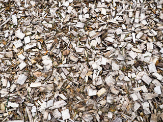 Backgrounds texture wood boards