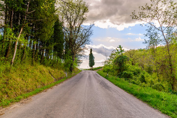 Obraz premium A road near the town of Radda in the Chianti wine area in spring