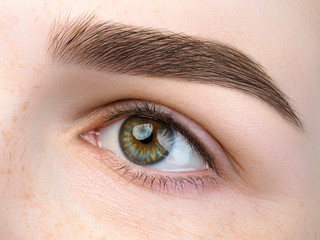 Close up view of beautiful green female eye