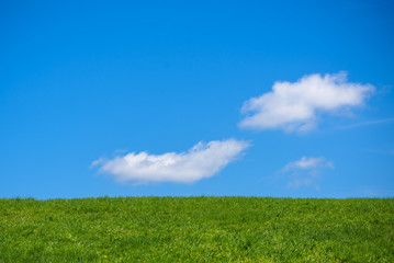 Green grass and blue sky with white clouds