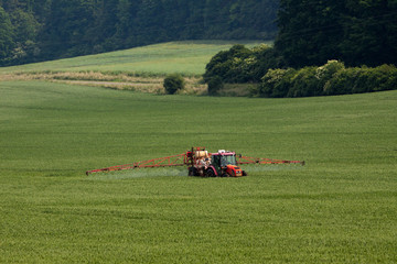 Obraz premium Tractor spraying pesticides on big green field with young grain