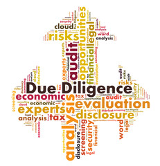 Due Diligence word cloud