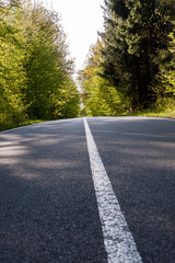 Fototapeta premium Country asphalt road with tree and sunset flare.
