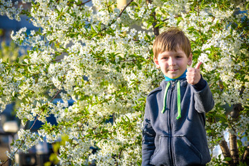 adorable blonde kid boy portrait in blooming cherry garden, walking outdoor