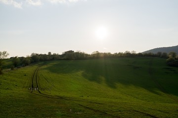 Fototapeta premium Meadow with trees and views to mountains. Slovakia