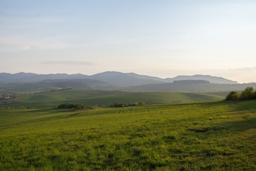 Meadow with trees and views to mountains. Slovakia