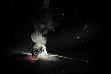 A wilting rose signifies lost love, divorce, or a bad relationship, dead rose on dark background