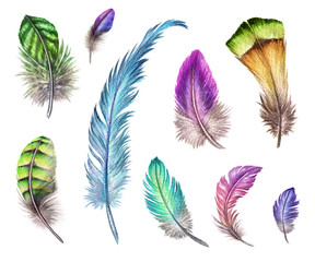 watercolor illustration, colorful boho feather collection, easter clip art set, tribal assorted...