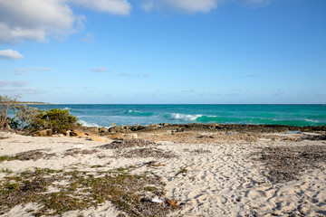 Fototapeta na wymiar Beautiful beach landscape with tourquise atlantic ocean in Cayo Coco, Cuba