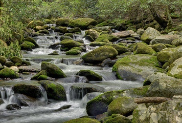 Naklejka na ściany i meble Smoky Mountains National Park Mossy creek cascade