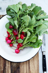 Radish in a metal bowl