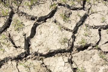 Drought, dry, cracked soil, no rain, natural disaster.