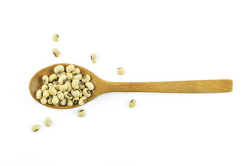 Navy beans in the wood spoon isolated on white background., This has clipping path.