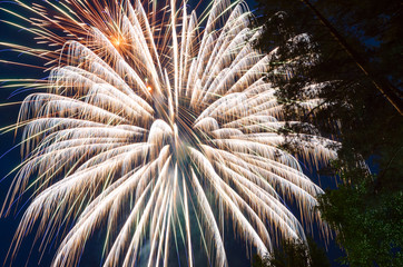 Bright fireworks against the dark blue sky and trees. Long exposure.