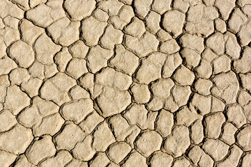 Drought, dry, cracked soil, no rain, natural disaster.