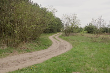 road near the forest