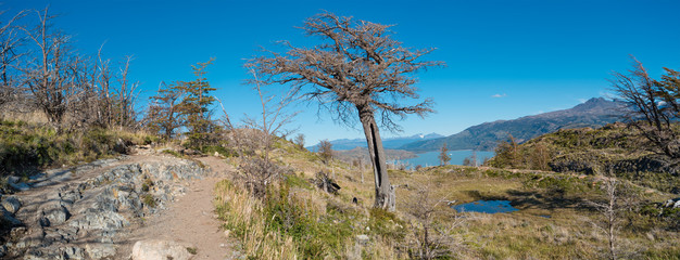 Torres del Paine National Park, Chile, Patagonia