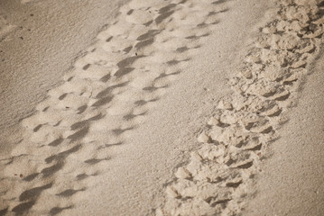 close-up of engine tyre trace track on a sandy beach on a sandy beach of, in sunlight