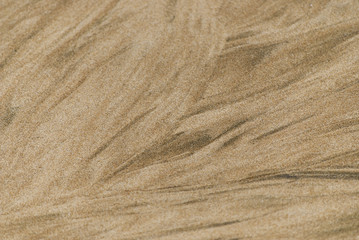 Golden Sand Beach Texture Background sunny day