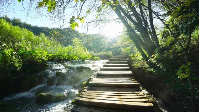 way in forest, Plitvice lakes, Croatia