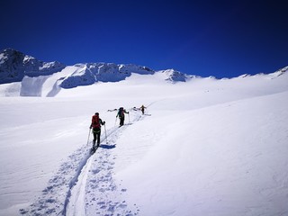 Fototapeta na wymiar Gletscher Skitour