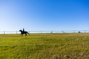 Fototapeta na wymiar Race Horses Riders Training Track Landscape