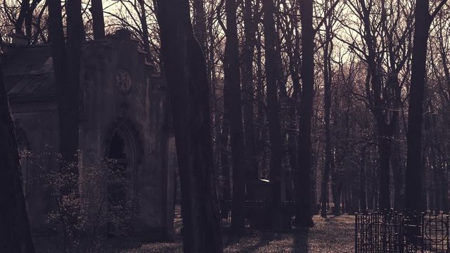 Old crypt in cemetery
