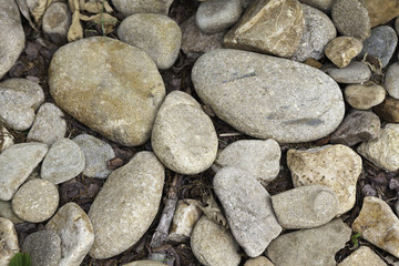 Rocks