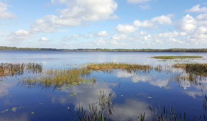 Florida Lake Waterscape