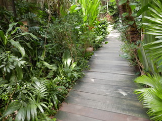wooden pathway