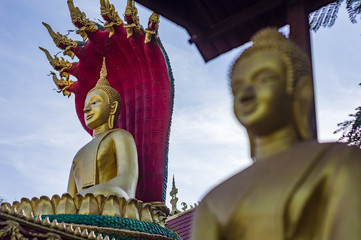 Obraz premium Gold Buddha statues in That Luang temple in the centre of Vientiane, Laos