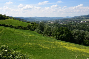 Campi in primavera