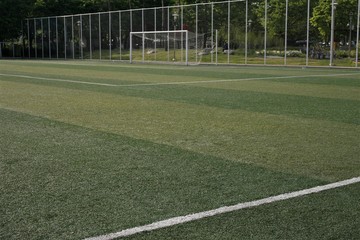 Green grass in soccer stadium
