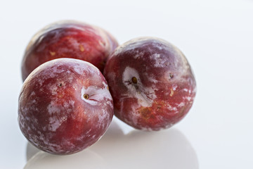Plums in studio with white background