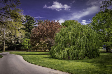 Botanical Garden